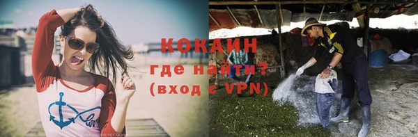 стафф Алзамай