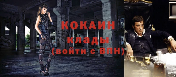 стафф Алзамай