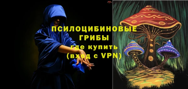 бошки Алексеевка