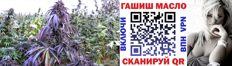 ТГК вейп Губкин