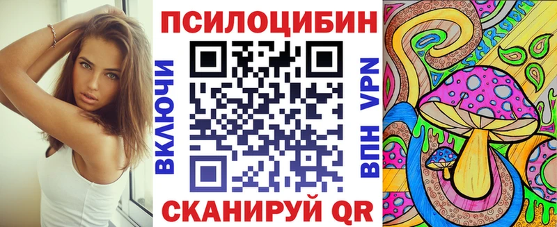 Псилоцибиновые грибы Psilocybine cubensis  что такое наркотик  Губкин 