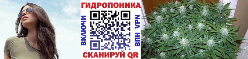 хочу наркоту  Губкин  МАРИХУАНА сатива 